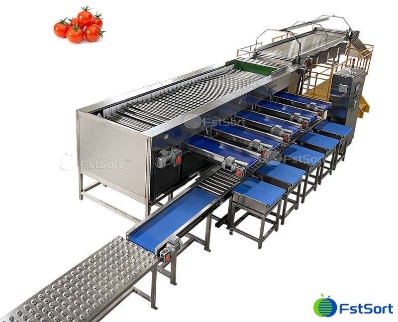images/1663052782574cherry Tomato sorter packing machine.jpg